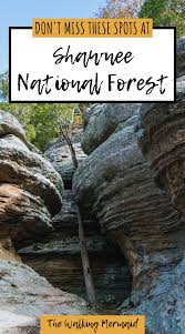 We did not find results for: Exploring Shawnee National Forest Illinois In 2021 Shawnee National Forest Best Campgrounds National Forest