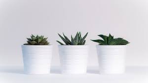 See more ideas about computer wallpaper desktop wallpapers, wallpaper notebook, aesthetic vintage desktop wallpapers wallpaper für desktop look wallpaper aesthetic desktop. 18 White Aesthetic Wallpapers Wallpaperboat