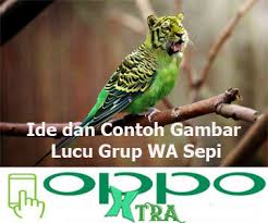 Maybe you would like to learn more about one of these? Ide Dan Contoh Gambar Lucu Grup Wa Sepi Oppotutorial