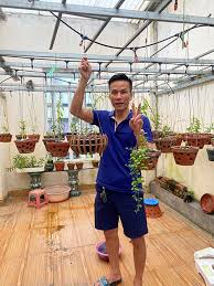 Theo thông tin từ cơ quan công an, bằng các biện pháp nghiệp vụ, cảnh sát nắm được, nguyễn tuấn anh, chủ khách sạn seoul (địa chỉ tại số 146 trần duy hưng, phường trung hòa, quận cầu giấy) điều hành một đường dây ma túy. Tuan Anh Pham