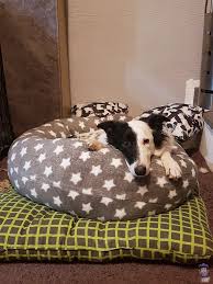 So Nahst Du Einen Kuscheldonut Fur Dein Haustier Haustiere Hunde Kissen Kleidung Fur Hunde