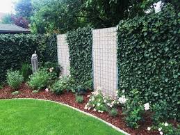 Efeu Element 180 X 120 Cm Angebot Garten Landschaftsbau Landschaftsbau Sichtschutz Pflanzen