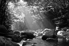 Black And White Nature Creative Wallpaper Great Smoky Mountains River Scene In Black And White Black And White Tree Mountain Pictures Black And White