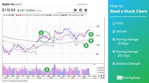 2 04 investing basics chart bedowntowndaytona com