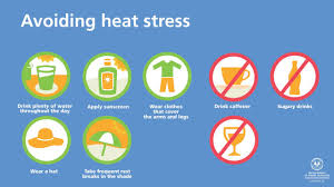 Heat Uv Exposure Safework Sa
