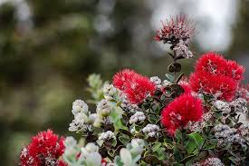 What I'd do to live by the Adriatic...