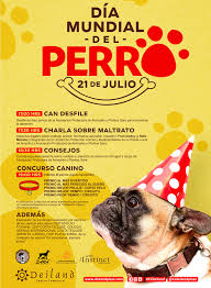 Día de llevar al perro a la oficina 21 de junio. El Deiland Y La Protectora De Animales Sara Celebran Juntos El Dia Mundial Del Perro Biosfera Digital