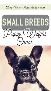Puppy Weight Chart This Is How Big Your Dog Will Be
