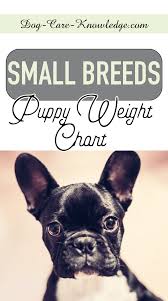 Puppy Weight Chart This Is How Big Your Dog Will Be