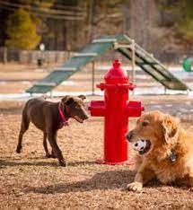 Check spelling or type a new query. Fire Hydrant Terrabound Solutions