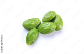 Image result for Parkia