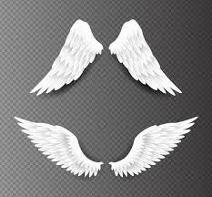 5,000+ vectors, stock photos & psd files. Free Vector Vintage Angel Wings Template