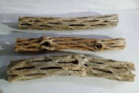 Shop for cholla cactus art from the getty images collection of creative and editorial photos. Galapagos Cholla Wood For Aquarium 3 Pack 6 Natural Wet Pet Supply