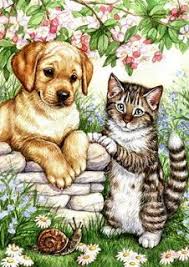Evcil Hayvan Portreleri Kedi Sanati Hayvan Cizimi Hayvan Ilustrasyonlari
