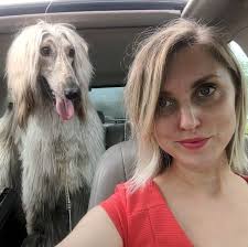 K-9 grooming shop in Millington highly recommended