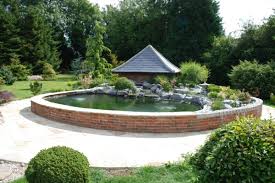 Koi fish are majorly found in white, red, black, blue, yellow, and cream colors. Build A Koi Pond In His Garden A Spicy Boy