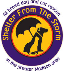 These 3 star hotels received great reviews from other travelers Pets For Adoption At Shelter From The Storm In Madison Wi Petfinder