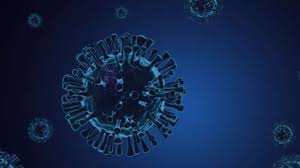 Last updated 28 april 2021. Covid India Updates Is It Normal To Have A Blood Clot After Getting Vaccinated Know The Truth Covid News India Tv