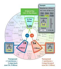 Scales For Using Transpose In Ableton Music Theory In