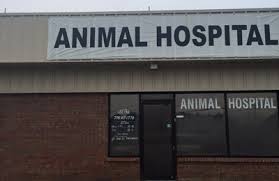 Only the best for your pets. All Pets Vet Hospital 8774 Dallas Acworth Hwy Ste 5 Dallas Ga 30132 Yp Com