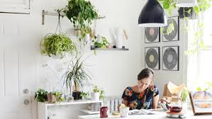Window options for light and views in your kitchen. 8 Kitchen Plants Best Houseplants That Thrive In Kitchens Kitchn
