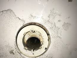We did not find results for: Leaking Shower Drain And Vent Issue