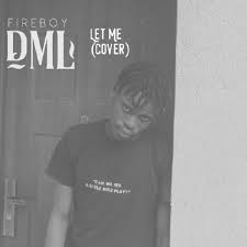Download Fireboy Dml Let Me Cover Mp3 Illuminaija