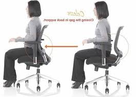 Ergonomic Chair For Lower Back Support