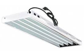 Fluorescent grow lights come in many different shapes and sizes, from twisty bulbs to long tubes. T5 Grow Lights Our Top 7 Picks For 2021 Epic Gardening