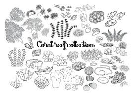 Kalender zum ausmalen für 2019. Korallenriff Malvorlagen In Coloring Fa 1 4 R Malvorlagen Korallen Kostenlos Book Page Design Ocean Plants Coral Sculpture