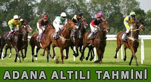 14 Haziran 2020 Adana Altilisi At Yarisi Tahminleri 2020 Atlar Ayi Istanbul