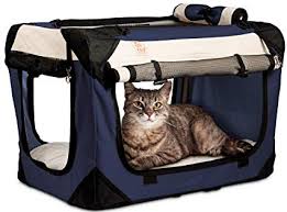 Members of matta, iata and bumitra malaysia. Car Travel With Cats Duaria