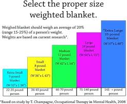 25 lb weighted blanket petit kuchikomi info