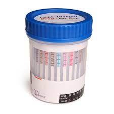 Drug testing remains an important part of the hiring and employment process for many reasons. 12 Panel Drug Test Cup Clia Waived Drug Testing With Free Shipping