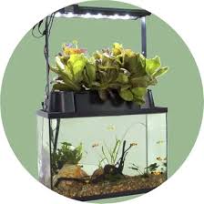 2 spread 1 to 3 inches of gravel or pebbles in the bottom of the aquarium. Aquaponics Fish Tank Primer Care Guide Indoor Gardening