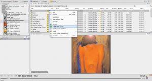 Instructions Jaangle