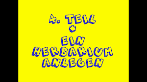 So können sie beispielsweise aus dem blickwinkel mitgereister haustiere schreiben. 4 Teil Gepresste Pflanzen In Einem Herbarium Anlegen Eigene Zeichnungen Anfertigen Youtube