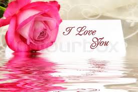 Collection by patricia johnson • last updated 3 weeks ago. Pink Rose In Front Of A I Love You Stock Image Colourbox