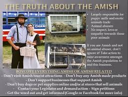 When people think of the amish, they tend to think of a. 20 Let S End Puppy Mills Forever Ideas Puppy Mills Cute Little Puppies Pet Store