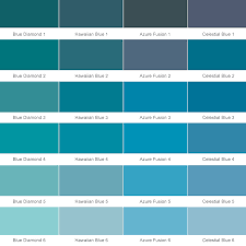 43 Genuine Delux Paint Chart