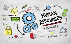 The 7 Habits Of Highly Effective Hr Professionals Human Resource Management Human Resources Resources