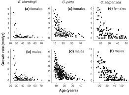 Age Specific Growth Rates Of Known Age Adult Blandings