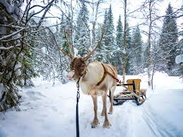 What to pack for a winter trip to lapland, finland, in winter: Planung Tipps Fur Lappland Individuell Im Winter