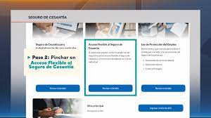 Check spelling or type a new query. Todo Sobre Seguro De Cesantia T13