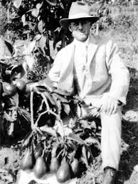 Image result for Dark Avocado 1972 Philco