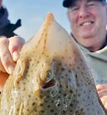 Farewell to a flaming good skipper...