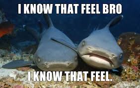 images?q=tbn:ANd9GcTLToA2i8ROhgXNAj76G3cMPL03kx8oaD5LTJiqNXd9tQN5JZmZLw