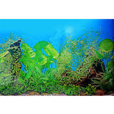 150 50cm Aquarium Fish Tank Beautiful Sticker 2017 New Decoration High Definition Background Paper Fish Tank Stic Aquarium Backgrounds Aquarium Fish Fish Tank