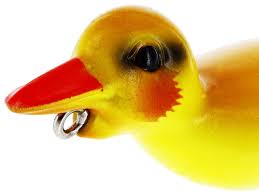 Duck is the common name for numerous species in the waterfowl family anatidae which also includes swans and geese. Danny The Duck Hollowbody P069