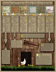 Quick Guide To Common Brooder And Coop Bedding Materials Homestead Chickens Chicken Coop Bedding Chicken Coop